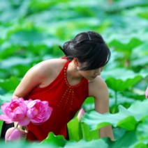 Hanoi lotus tea